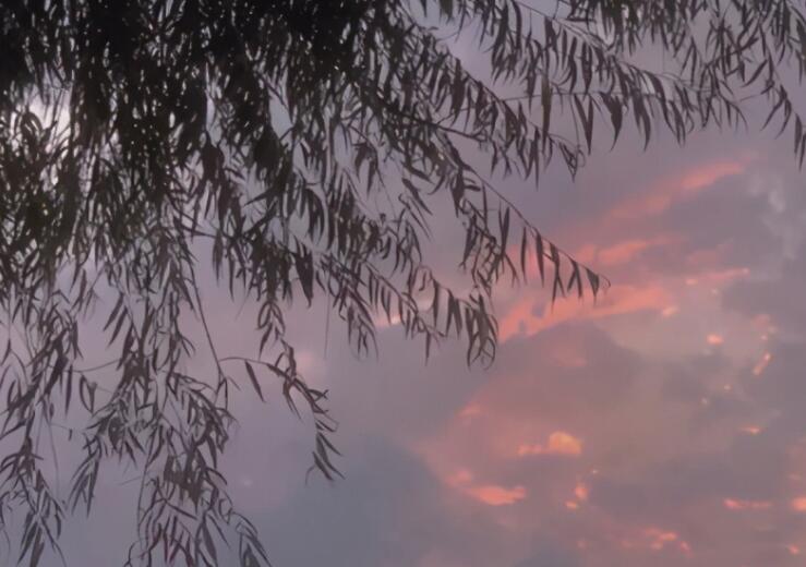 直接抒情的句子文案10字