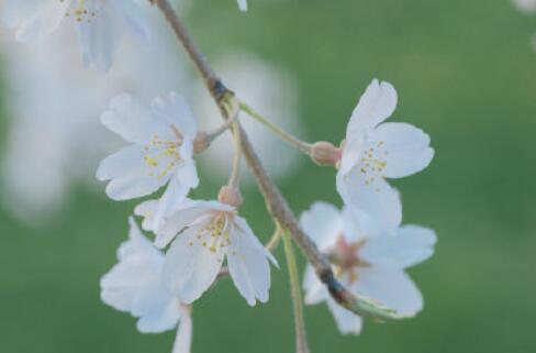 心情语录文案唯美霸气八字