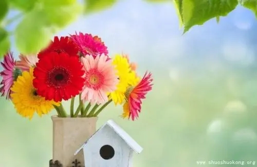 活泼可爱的早安语录文案