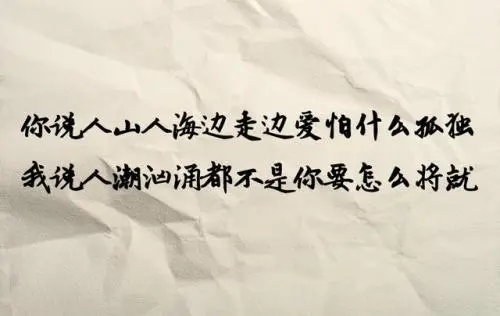 单身女人的无奈的经典句子文案