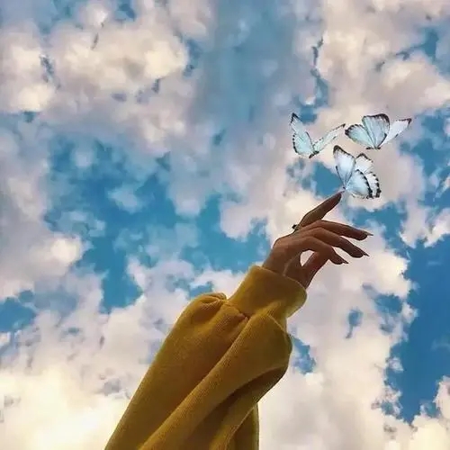 保持一颗好的心态的句子文案