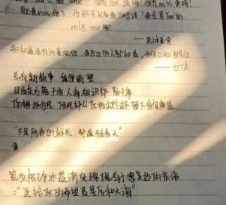 好段摘抄大全50字