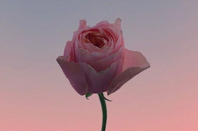 简短早上问好句文案