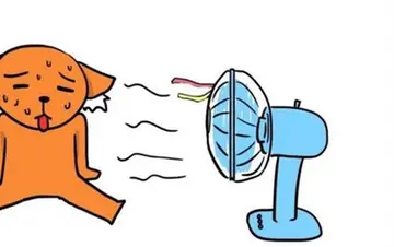 天气炎热防暑的问候语图片