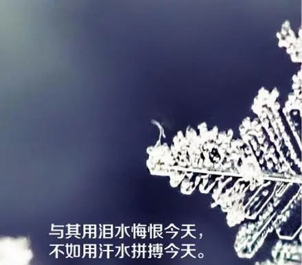 把泪水化作汗水经典语录文案