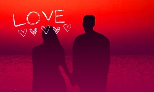 2024表白语录文案