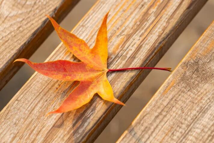 描写夏末初秋的优美句子文案