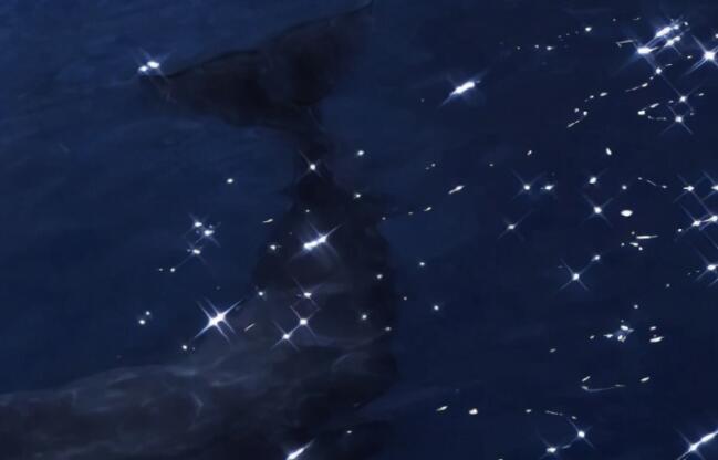 可爱的正能量语录句子文案