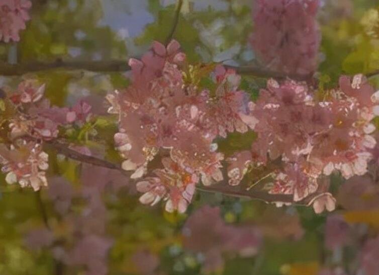 治愈系·温柔文案