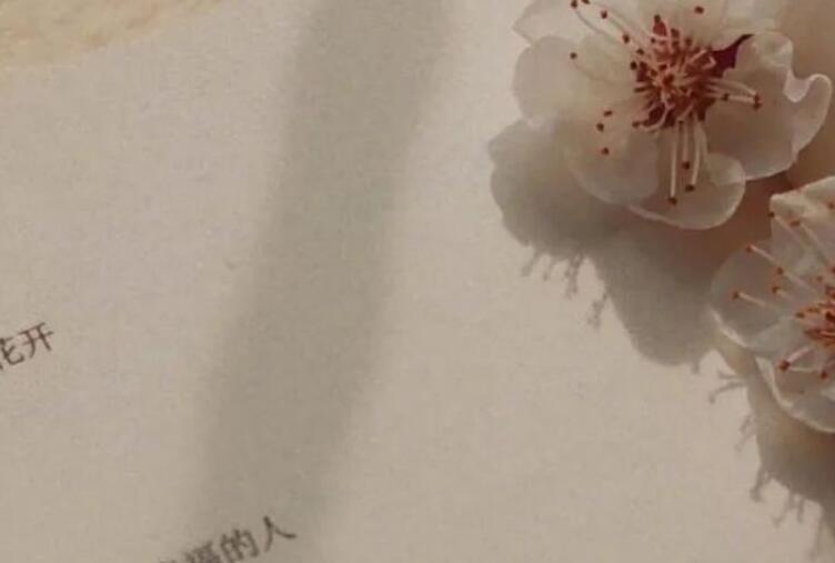 表达你值得的句子文案