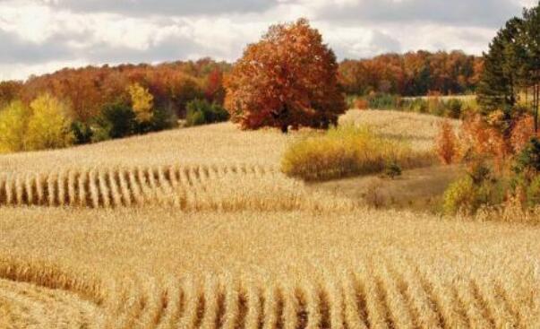 正能量的短句子文案十字