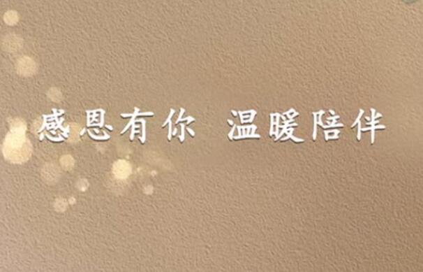 假关心的句子文案