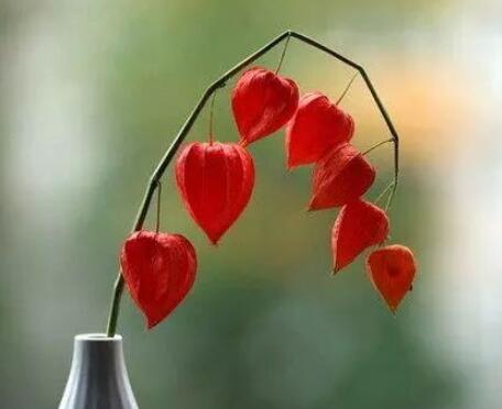 无奈又很幽默的句子文案