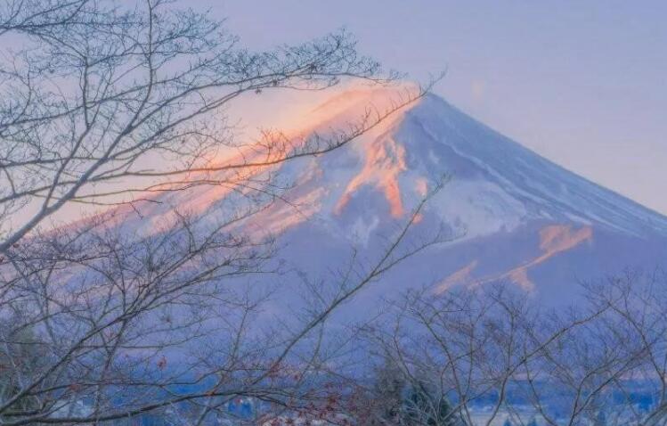 环境美好的句子文案