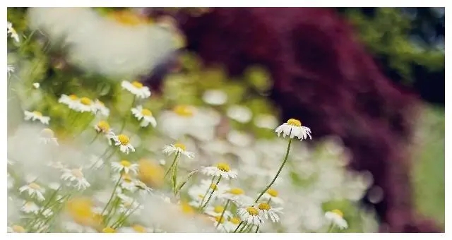 情感经典句子文案