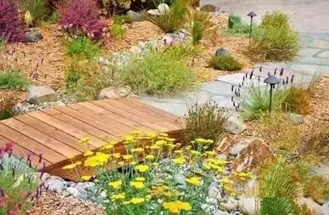 描述自己的花园的说说文案