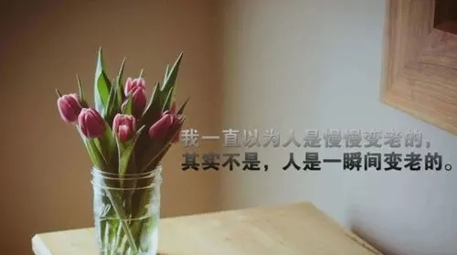 经典语录2024感悟人生句子文案