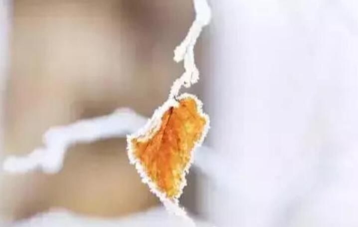 佛系人生精美短句