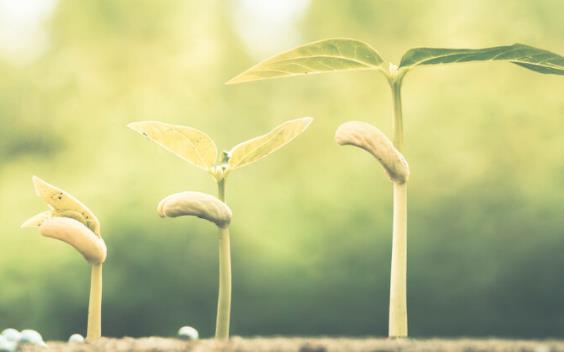 简短的一句话励志感言