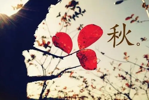 十月金秋唯美句子文案