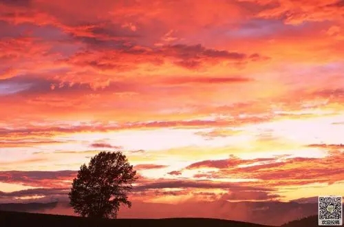 关于晚霞的撩人情话文案