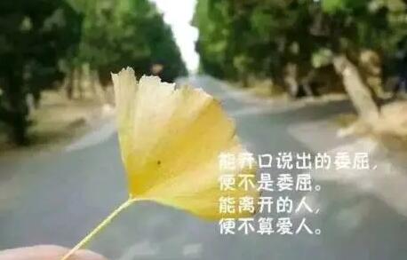 2024年霸气个性签名