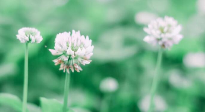 关于出发的美文摘抄