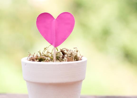 不要放弃爱情唯美句子文案