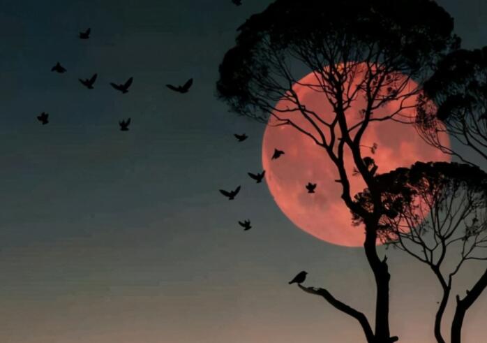 人生的句子文案说说心情