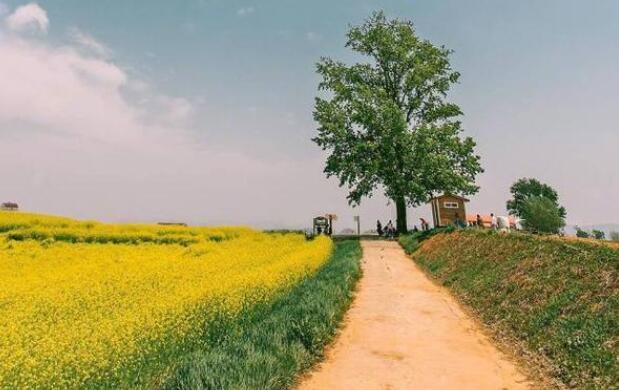 超正能量的励志语录文案