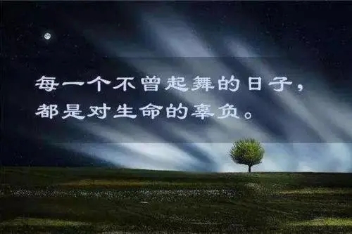 任性的年纪过了该懂事的说说文案