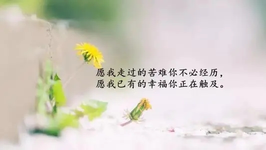 经历过生死的感悟句子文案