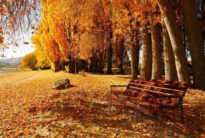 形容天气凉爽舒服的句子文案