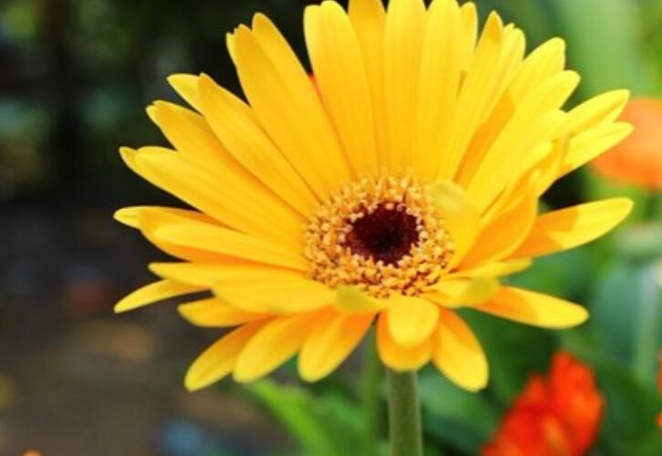 做微商女人努力的句子文案