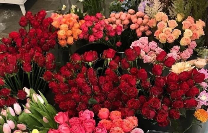 高质量温柔惊艳文案短句