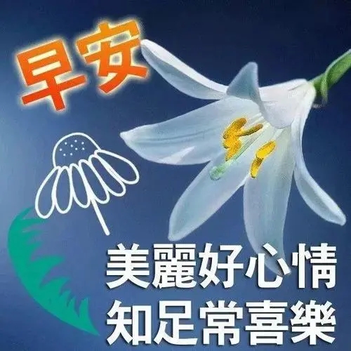 祝福朋友早安吉祥的话