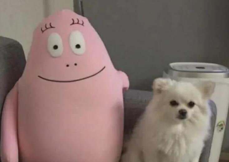 活泼可爱的文案