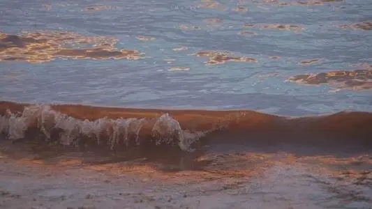 简短文艺却惊艳的句子文案