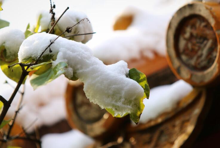 冬天怎么写一段话