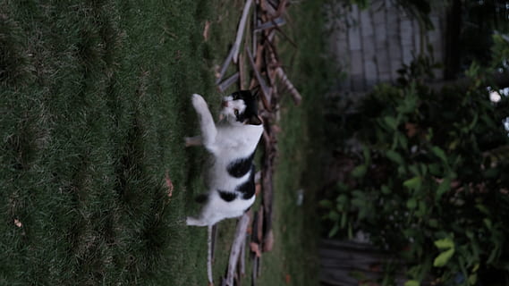 最美让老婆感动的情话文案