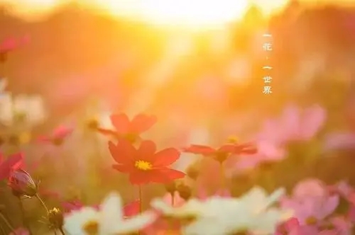 关于永远的说说文案