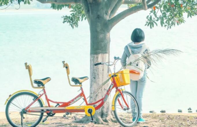 关于少年的诗句文案