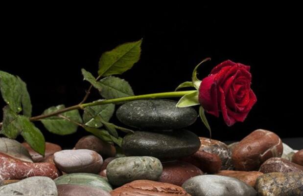 表达男生对女生的爱意的句子文案