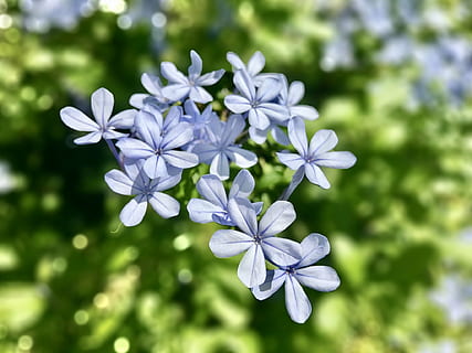 让对方看到伤心的短句