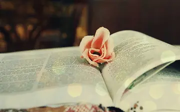 岁月催人老的感慨句子文案