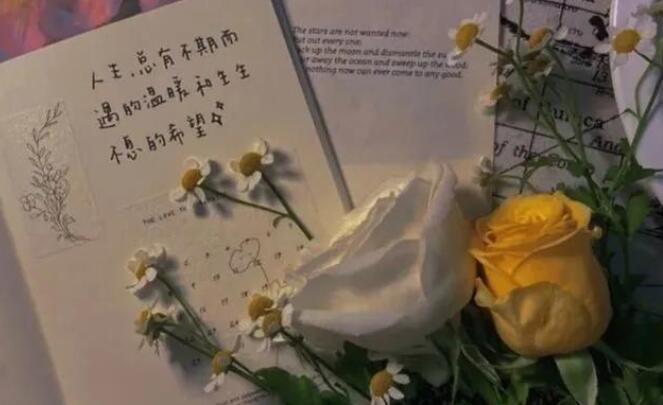 朋友圈感悟简短经典语录文案