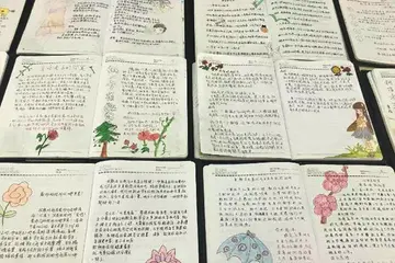 读书笔记提要是什么