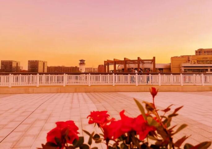 好段摘抄大全100字