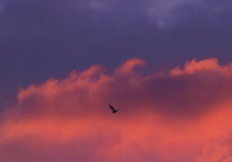 熬最长的夜经典语录文案