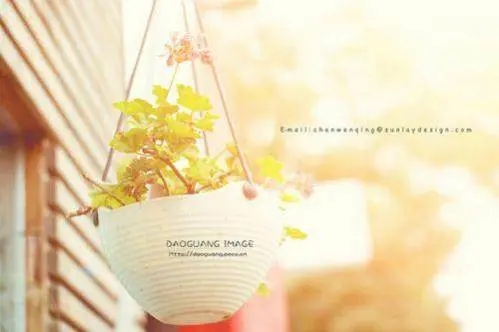 女生发说说的句子文案清新